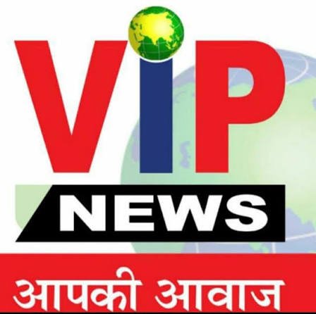 VIP News logo