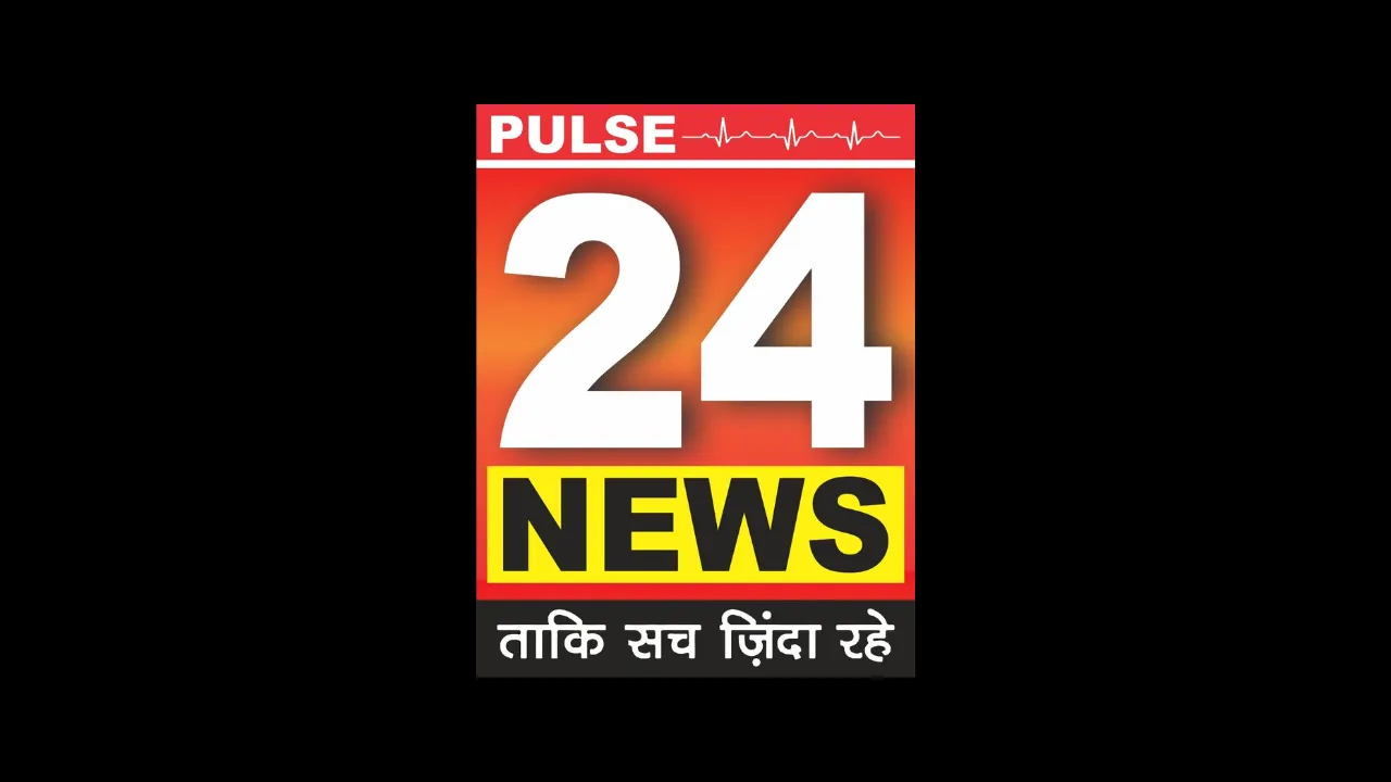 Pulse24 News logo