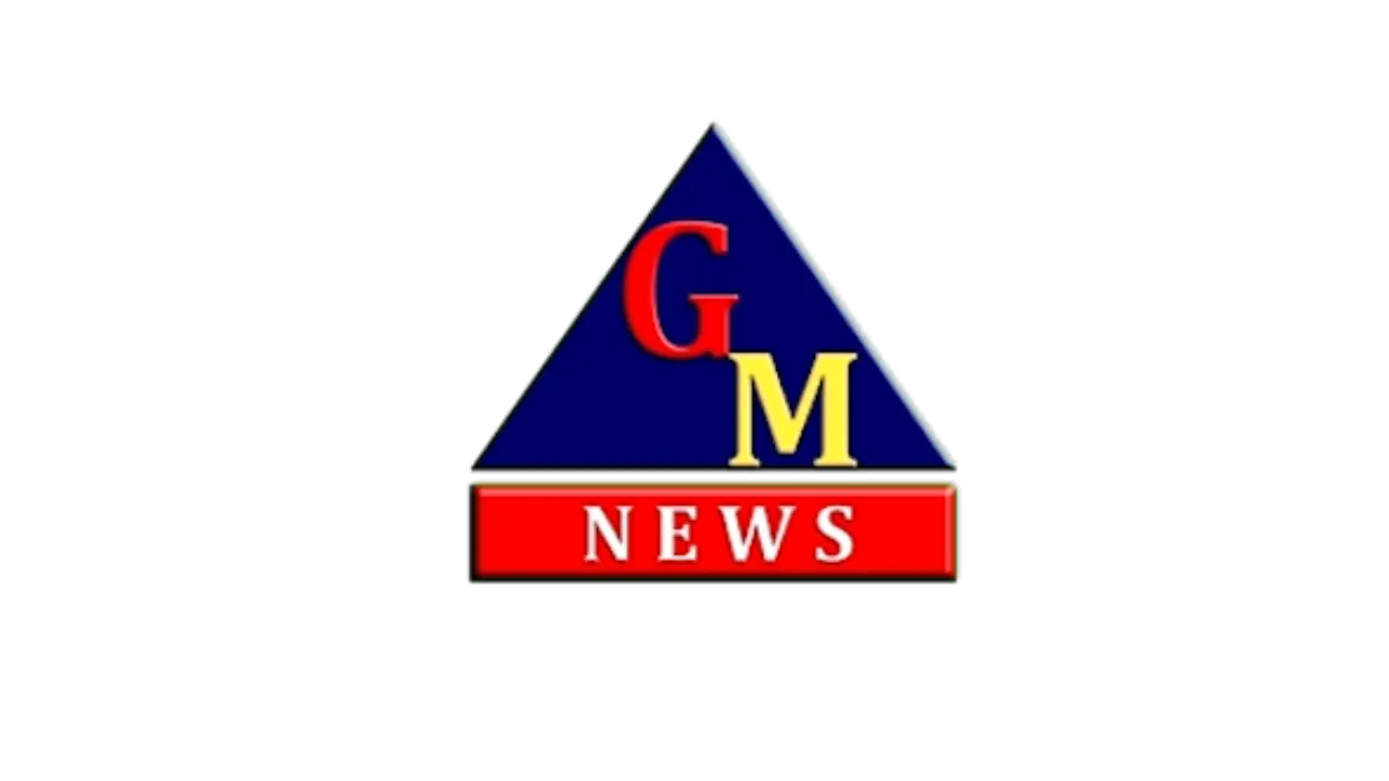 GM News logo
